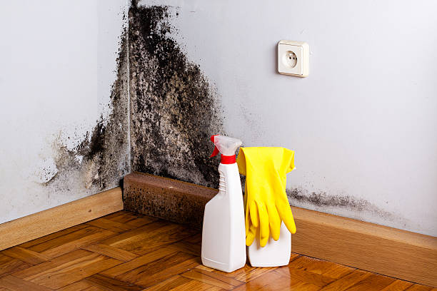 Water damage restoration insurance claims in Franconia, VA